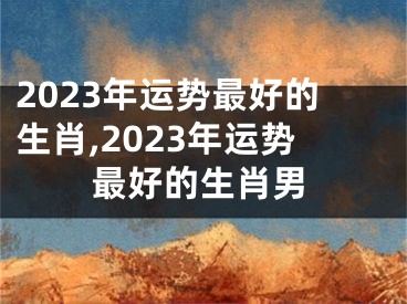 2023年运势最好的生肖,2023年运势最好的生肖男