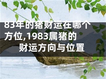 83年的猪财运在哪个方位,1983属猪的财运方向与位置
