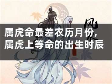 属虎命最差农历月份,属虎上等命的出生时辰