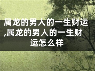 属龙的男人的一生财运,属龙的男人的一生财运怎么样
