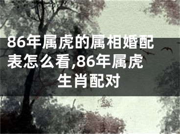 86年属虎的属相婚配表怎么看,86年属虎生肖配对