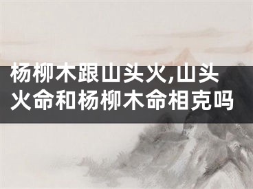 杨柳木跟山头火,山头火命和杨柳木命相克吗