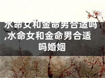 水命女和金命男合适吗,水命女和金命男合适吗婚姻