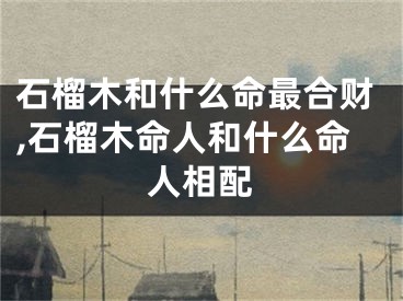 石榴木和什么命最合财,石榴木命人和什么命人相配