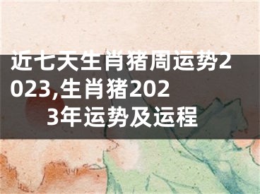 近七天生肖猪周运势2023,生肖猪2023年运势及运程