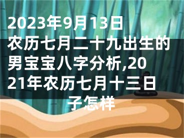 2023年9月13日农历七月二十九出生的男宝宝八字分析,2021年农历七月十三日子怎样