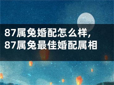 87属兔婚配怎么样,87属兔最佳婚配属相