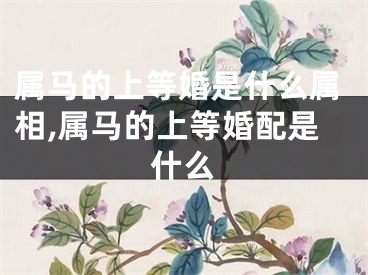 属马的上等婚是什么属相,属马的上等婚配是什么