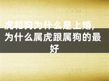 虎和狗为什么是上婚,为什么属虎跟属狗的最好