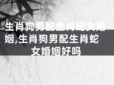 生肖狗男配生肖蛇女婚姻,生肖狗男配生肖蛇女婚姻好吗
