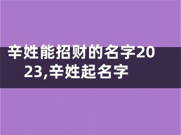 辛姓能招财的名字2023,辛姓起名字