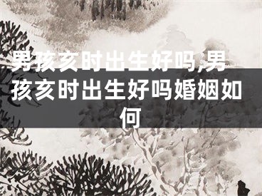 男孩亥时出生好吗,男孩亥时出生好吗婚姻如何