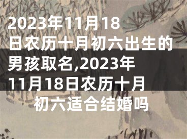 2023年11月18日农历十月初六出生的男孩取名,2023年11月18日农历十月初六适合结婚吗