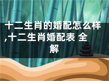 十二生肖的婚配怎么样,十二生肖婚配表 全解