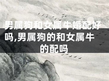 男属狗和女属牛婚配好吗,男属狗的和女属牛的配吗