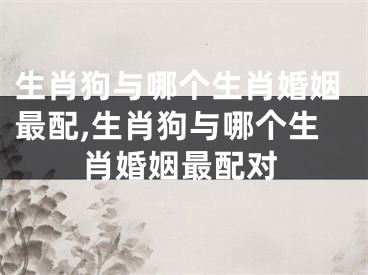 生肖狗与哪个生肖婚姻最配,生肖狗与哪个生肖婚姻最配对