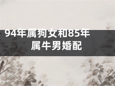 94年属狗女和85年属牛男婚配