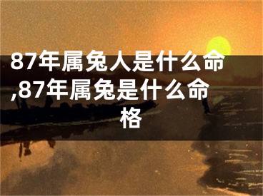 87年属兔人是什么命,87年属兔是什么命格