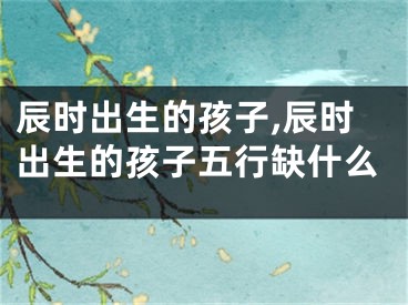 辰时出生的孩子,辰时出生的孩子五行缺什么