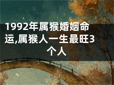 1992年属猴婚姻命运,属猴人一生最旺3个人