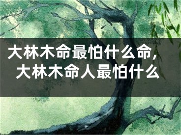 大林木命最怕什么命,大林木命人最怕什么