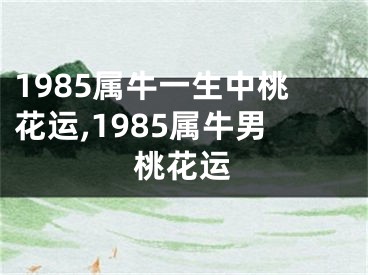 1985属牛一生中桃花运,1985属牛男桃花运
