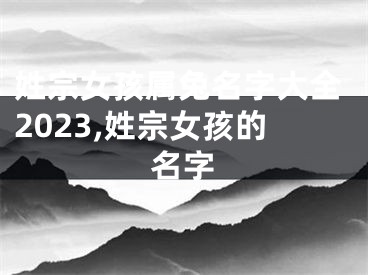 姓宗女孩属兔名字大全2023,姓宗女孩的名字