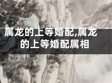 属龙的上等婚配,属龙的上等婚配属相