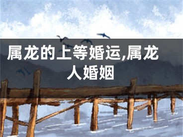 属龙的上等婚运,属龙人婚姻