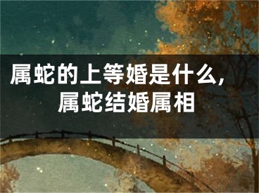 属蛇的上等婚是什么,属蛇结婚属相