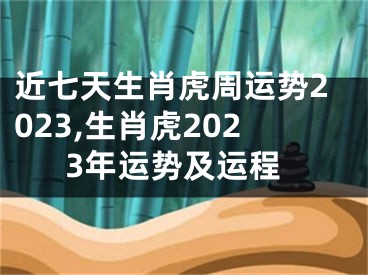 近七天生肖虎周运势2023,生肖虎2023年运势及运程