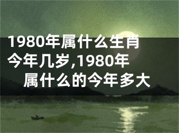 1980年属什么生肖今年几岁,1980年属什么的今年多大