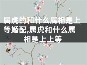 属虎的和什么属相是上等婚配,属虎和什么属相是上上等