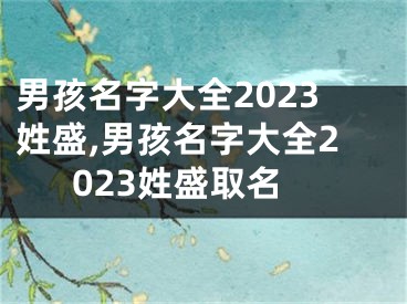 男孩名字大全2023姓盛,男孩名字大全2023姓盛取名