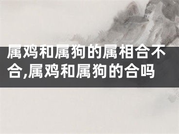 属鸡和属狗的属相合不合,属鸡和属狗的合吗