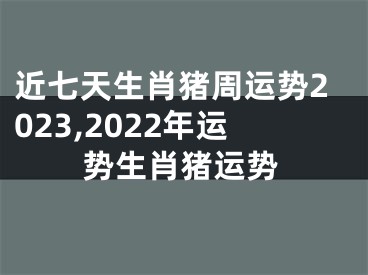 近七天生肖猪周运势2023,2022年运势生肖猪运势