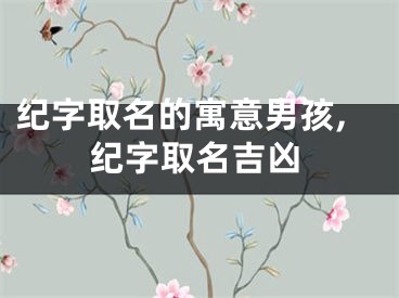 纪字取名的寓意男孩,纪字取名吉凶