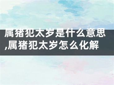 属猪犯太岁是什么意思,属猪犯太岁怎么化解