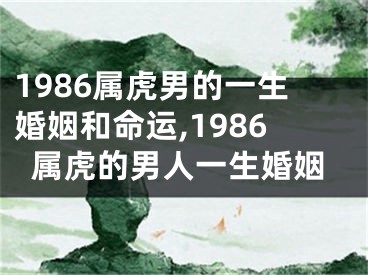 1986属虎男的一生婚姻和命运,1986属虎的男人一生婚姻