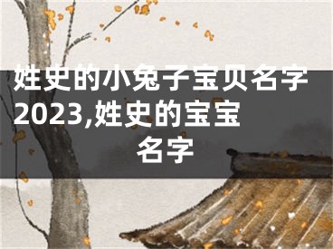 姓史的小兔子宝贝名字2023,姓史的宝宝名字