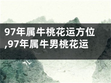 97年属牛桃花运方位,97年属牛男桃花运