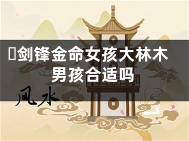 ​剑锋金命女孩大林木男孩合适吗
