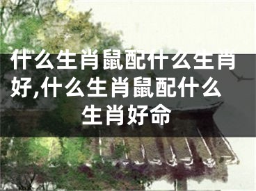 什么生肖鼠配什么生肖好,什么生肖鼠配什么生肖好命