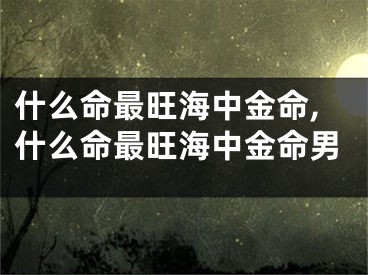 什么命最旺海中金命,什么命最旺海中金命男