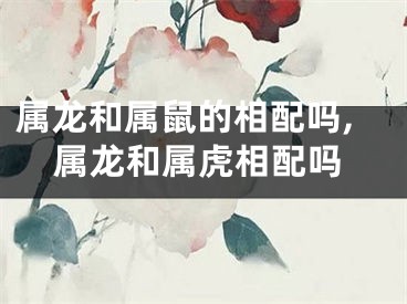 属龙和属鼠的相配吗,属龙和属虎相配吗