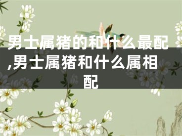 男士属猪的和什么最配,男士属猪和什么属相配