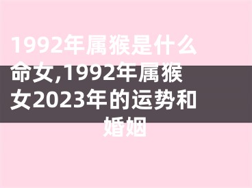 1992年属猴是什么命女,1992年属猴女2023年的运势和婚姻