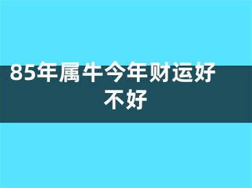 85年属牛今年财运好不好