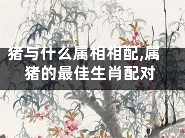 猪与什么属相相配,属猪的最佳生肖配对