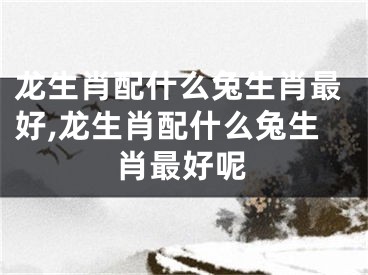 龙生肖配什么兔生肖最好,龙生肖配什么兔生肖最好呢